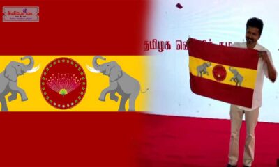 vijay flag