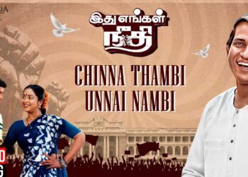ilayaraja chinna thambi